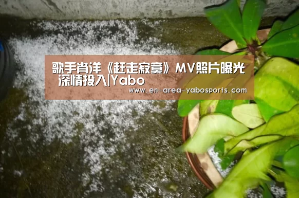 亚博体育