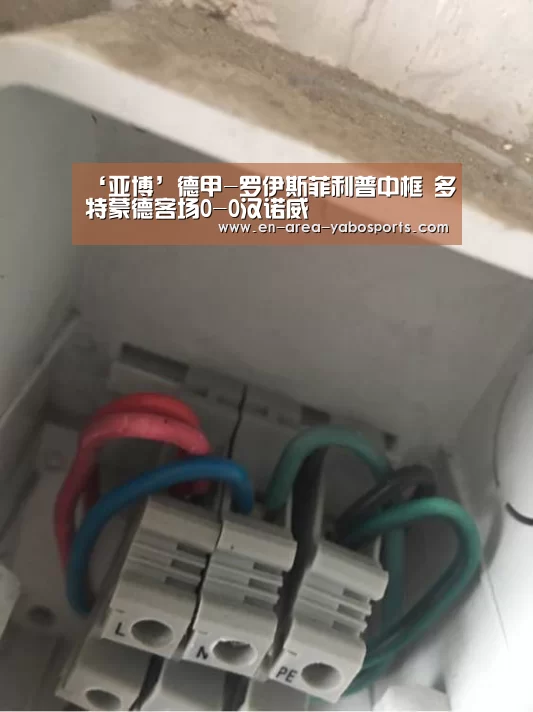 ‘亚博’德甲-罗伊斯菲利普中框 多特蒙德客场0-0汉诺威(图2)
