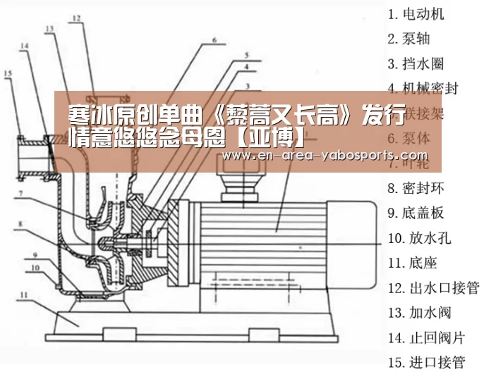 寒冰原创单曲《藜蒿又长高》发行 情意悠悠念母恩【亚博】(图2) 亚博体育